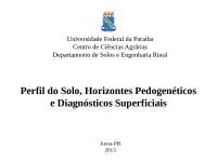 Perfil do Solo e Horizontes Pedogenéticos