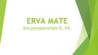 produção e tratos culturais da erva mate