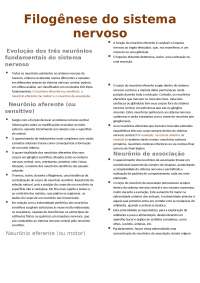 filogênese do sistema nervoso