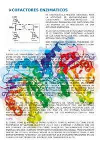 BIOQUIMICA PROTEÍNAS Y ENZIMAS