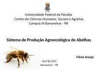 apicultura e meliponicultura