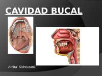 Resumen Cavidad Bucal, Caracteristicas e Importancia