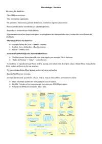 Bactérias: Staphylococcus aureus, Streptococcus pyogenes, Mycobacterium Leprae e Enterobac