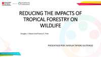 Principios para reducir el impacto de la forestación tropical en la fauna silvestre