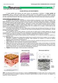 Histologia - MED RESUMO