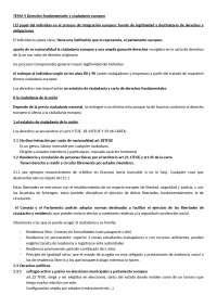 TEMA 4 Derechos fundamentales y ciudadanía europea | Apuntes de Derecho ...