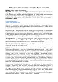 TFA - Didattica Speciale approccio cooperativo e metacognitivo