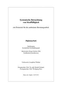 Systemische Betrachtung von Straffälligkeit