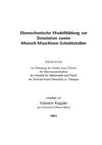 Biomechanische Modellbildung zur Simulation zweier Mensch-Maschine-Schnittstelle
