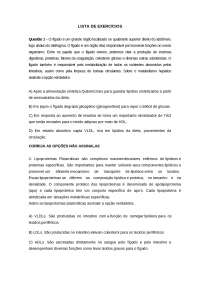 Exercícios de Lipogênese