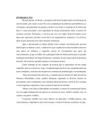 RUMA MALHA PAULISTA e sua importância