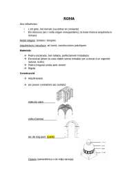 Arte romano resumen Docsity - Aac4553adb90744adee5bc70750748b0 