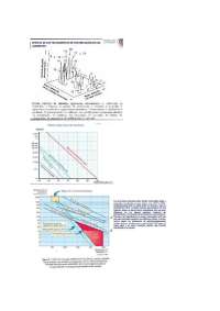 Graficos de temperatura y carne