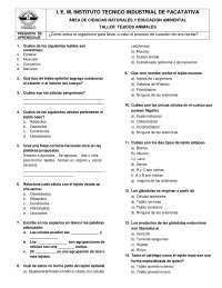 Taller de Tejidos Animales: Ejercicios y Preguntas de Aprendizaje