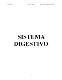 Resumen Sistema Digestivo (Primera Parte) de Gartner