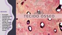 Tecido Ósseo: Estrutura, Funções e Tipos