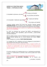 Resumen tema 1 Derecho Penitenciario