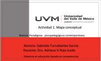 cuadro comparativo paradigmas UVM