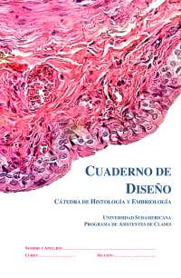 cuaderno deseno adfafafadfdafdffddffddf