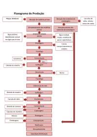 Fluxograma de Produção