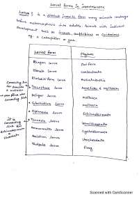 Larval forms in invertebrates