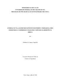 Otimização via algoritmo genético