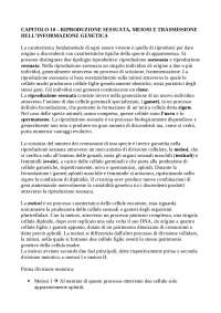riassunto capitolo 10 biologia dal libro "basi biologiche e genetiche dell'attività psichica"