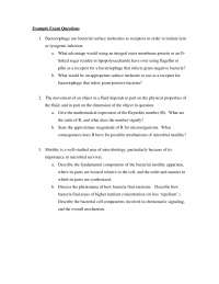 Systems Microbiology Example Exam Questions