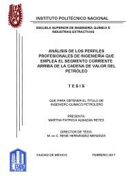 Tesis de los Perfiles analsis de petroleo.