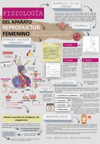 Fisiología del Aparato Reproductor Femenino: Ovogénesis y Hormonas Sexuales