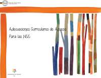 Adecuaciónes curriculares información