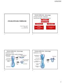 Histologia Básica: Sistema Nervoso - Exercícios e Questões
