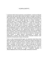 Glomerulonefrite: Função, Patologia e Diagnóstico