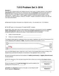 Introductory Biology Problem Set 3: Questions to Solve