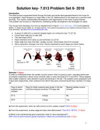 Introductory Biology Solutions Key Problem Set 6