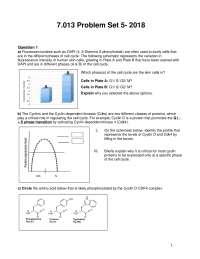 Introductory Biology Problem Set 5: Exercises & Questions to Solve
