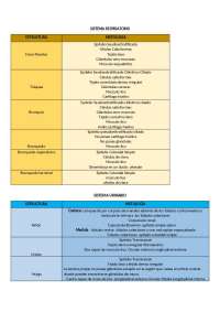 Histología por sistemas