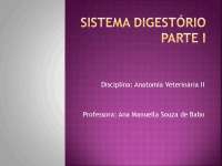 Anatomia Veterinária II: Sistema Digestório dos Mamíferos Domésticos