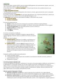 Fisiologia infermieristica I