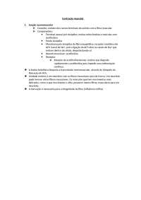 Resumo contração muscular