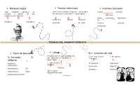 psicologia tarea 0123