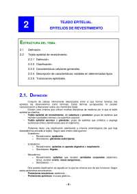 Clasificación de tejidos epitelares