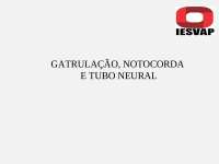 EMBRIOLOGIA DO SISTEMA NERVOSO - NEURULAÇÃO