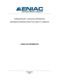 Portifólio - Cadeia de suprimentos.pdf