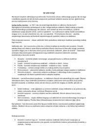 Jak widzi mózg? - procesy zachodzące w mózgu podczas widzenia