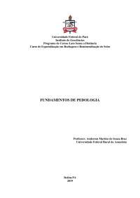 Fundamentos em pedologia do solo