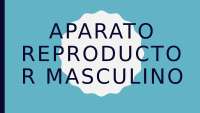 Anatomía y Fisiología del Sistema Reproductor Masculino: Una Guía Completa en Diapositivas