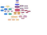 SCHEMAS PSYCHOLOGY MIND MAP - Docsity
