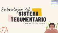 Embriología del Sistema Tegumentario: Desarrollo de la Piel, Glándulas y Apéndices