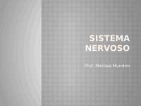 Sistema nervoso central, periférico